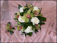 www.floristic.ru - .  .