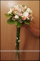 www.floristic.ru - .  .