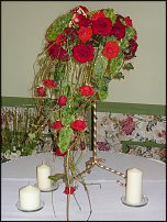 www.floristic.ru - .   .