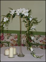 www.floristic.ru - .   .