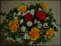 www.floristic.ru - .   