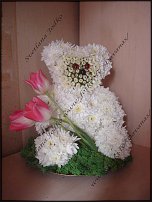 www.floristic.ru - .   ....