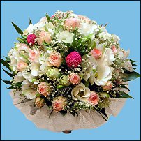 www.floristic.ru - .    