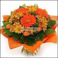 www.floristic.ru - . !!!!!