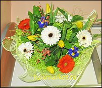 www.floristic.ru - . !!!!!