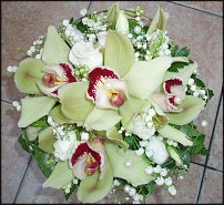 www.floristic.ru - .  .