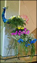 www.floristic.ru - .  .