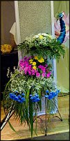 www.floristic.ru - .  .