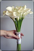 www.floristic.ru - .    