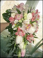 www.floristic.ru - .  .