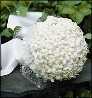 www.floristic.ru - .    