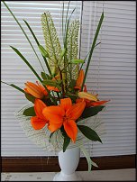 www.floristic.ru - .   