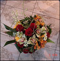 www.floristic.ru - .  