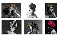 www.floristic.ru - .    