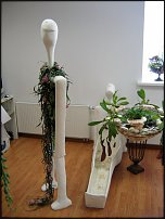 www.floristic.ru - .   ""