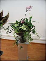 www.floristic.ru - .   ""