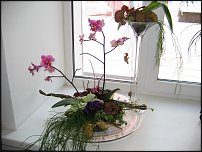 www.floristic.ru - .   ""