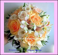 www.floristic.ru - .  ,    