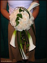 www.floristic.ru - .  .