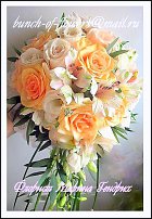 www.floristic.ru - .  ,    