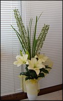 www.floristic.ru - .   