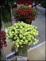 www.floristic.ru - . !!!!!