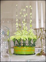 www.floristic.ru - .  .