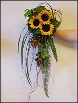 www.floristic.ru - .  .