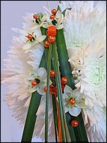 www.floristic.ru - .  .