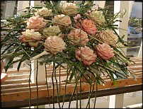 www.floristic.ru - .  .