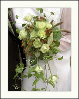 www.floristic.ru - .  .