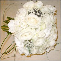 www.floristic.ru - .  .