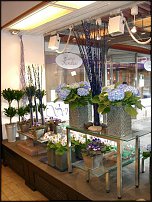 www.floristic.ru - .       - ?