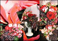 www.floristic.ru - Флористика. Уход за срезкой