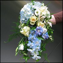 www.floristic.ru - .   