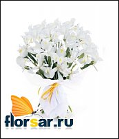 www.floristic.ru - .   