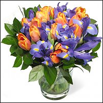 www.floristic.ru - .   