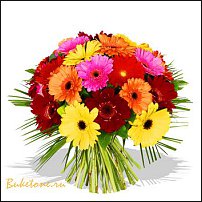 www.floristic.ru - .   