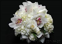 www.floristic.ru - .   