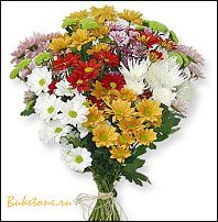 www.floristic.ru - .   