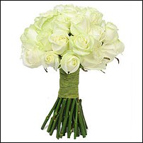 www.floristic.ru - .   