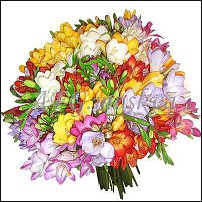 www.floristic.ru - .   