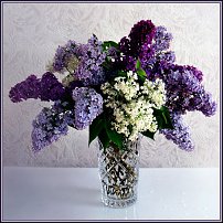 www.floristic.ru - .   