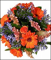 www.floristic.ru - .   