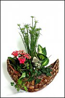 www.floristic.ru - .   