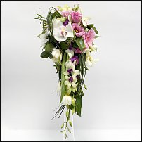 www.floristic.ru - .   