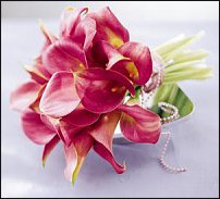 www.floristic.ru - .   