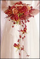 www.floristic.ru - .  .