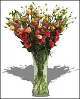 www.floristic.ru - .   