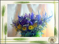 www.floristic.ru - .  